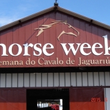 HORSEWEEK4