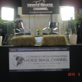 HORSEWEEK4