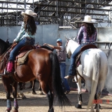 HORSEWEEK4