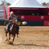 HORSEWEEK5