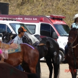 HORSEWEEK5