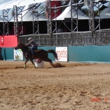 HORSEWEEK5