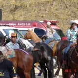 HORSEWEEK5