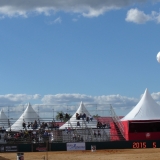 HORSEWEEK5