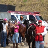 HORSEWEEK5