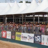 HORSEWEEK6