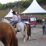HORSEWEEK6