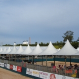 HORSEWEEK6