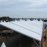 HORSEWEEK6