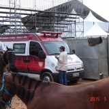 HORSEWEEK6