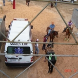 HORSEWEEK6