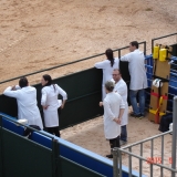 HORSEWEEK6