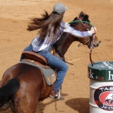 HORSEWEEK6