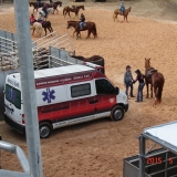 HORSEWEEK6