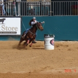 HORSEWEEK6