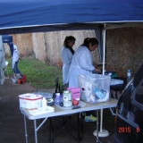 BARRA8
