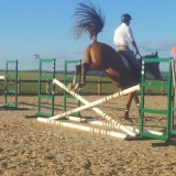 ALBAR3