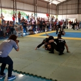 Jiujitsu1