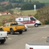 amarok