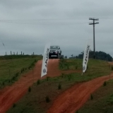 amarok