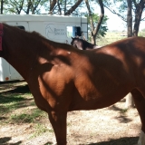 tresamigos