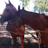 tresamigos