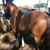 tresamigos
