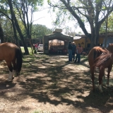tresamigos