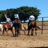 tresamigos