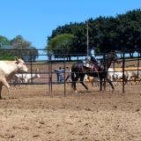 tresamigos