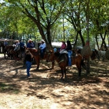 tresamigos