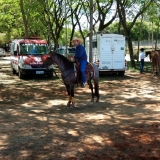 tresamigos