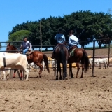 tresamigos