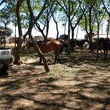tresamigos