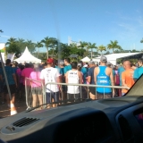 ecojundiai