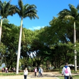 ecojundiai