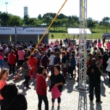 ecojundiai