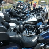 harleydavidson