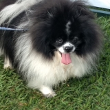 agily1