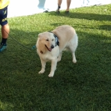 agily2
