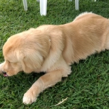 agily3