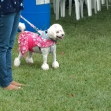 agily4