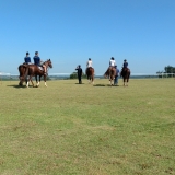 MITCUP2019-2