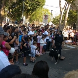 paz