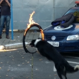 paz