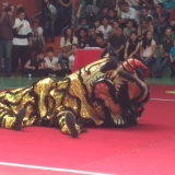 COPA KIDS DE KUNG FU WUSHU 2019