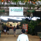 CEASA