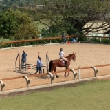 SALTO EQUESTRE EM HARAS COOPER