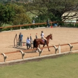 cavalinhos