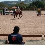 cavalinhos